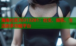 海角社区20313281：社交、娱乐、生活的多功能平台
