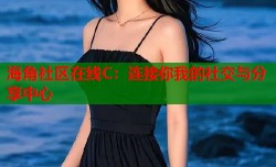 海角社区在线C：连接你我的社交与分享中心