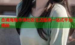 合浦海角市场社区生活服务一站式平台揭秘