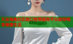 天崖海角社区路口智慧服务平台助您畅享便捷生活