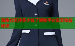 海角社区挣多少钱了揭秘平台真实收益秘诀