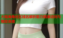 大陆海角社区域名解析助力精准访问与稳定连接