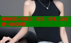 海角社区+百度云：社交、分享、云存储一站式体验