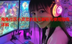 海角社区小灵灵的含义解析与使用指南详解