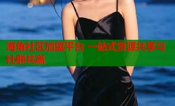 海角社区加盟平台 一站式资源共享与社群共赢
