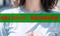 海角入口HJ80C：智能门禁解决方案