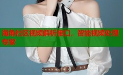 海角社区视频解析接口，智能视频处理专家