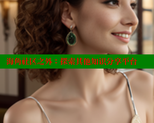 海角社区之外：探索其他知识分享平台