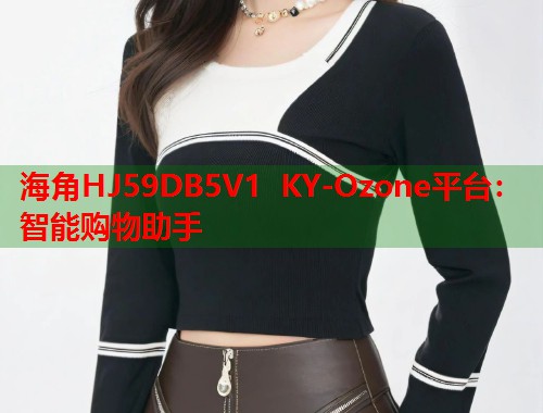 海角HJ59DB5V1 KY-Ozone平台：智能购物助手  第1张