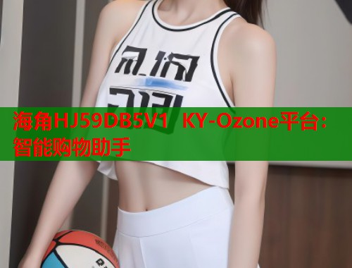 海角HJ59DB5V1 KY-Ozone平台：智能购物助手  第2张