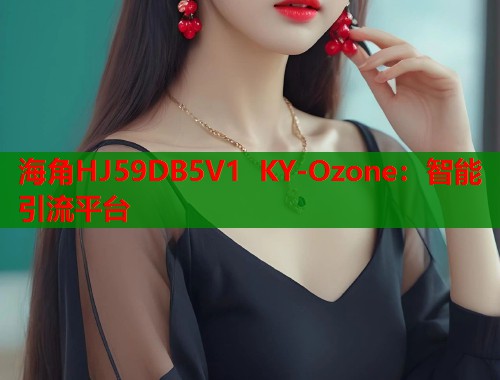 海角HJ59DB5V1 KY-Ozone：智能引流平台  第2张