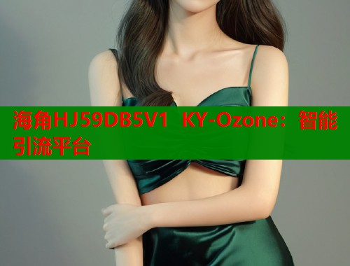海角HJ59DB5V1 KY-Ozone：智能引流平台  第1张