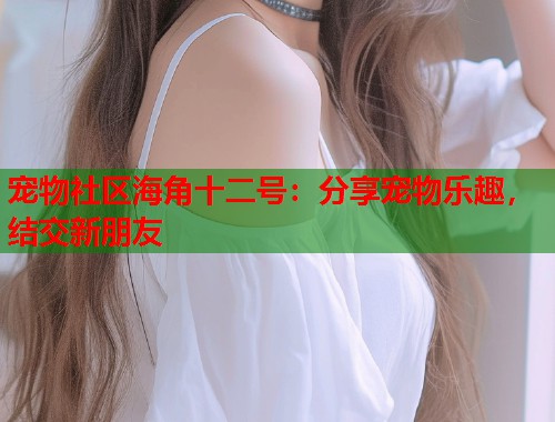 宠物社区海角十二号：分享宠物乐趣，结交新朋友  第1张
