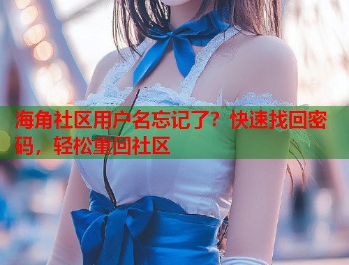 海角社区用户名忘记了？快速找回密码，轻松重回社区  第1张