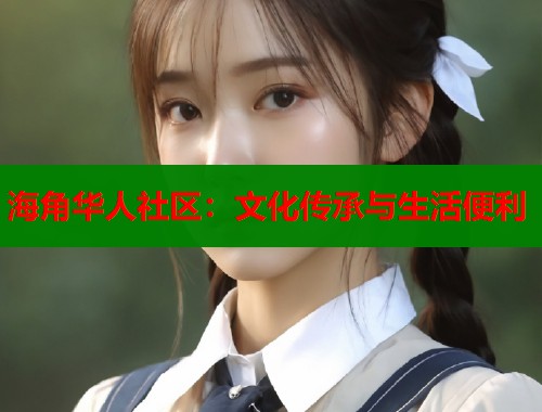 海角华人社区：文化传承与生活便利  第1张