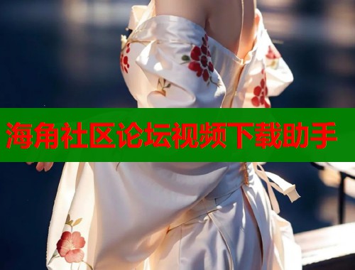 海角社区论坛视频下载助手  第2张
