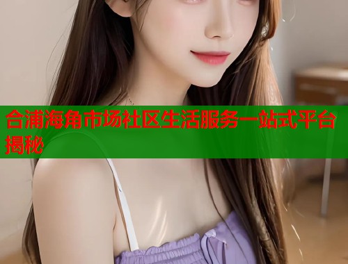 合浦海角市场社区生活服务一站式平台揭秘  第2张