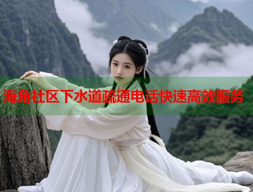 海角社区下水道疏通电话快速高效服务  第2张