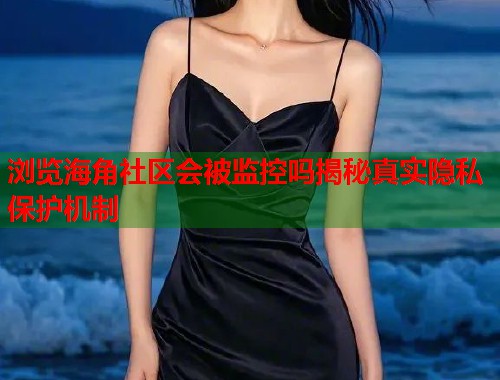 浏览海角社区会被监控吗揭秘真实隐私保护机制  第1张